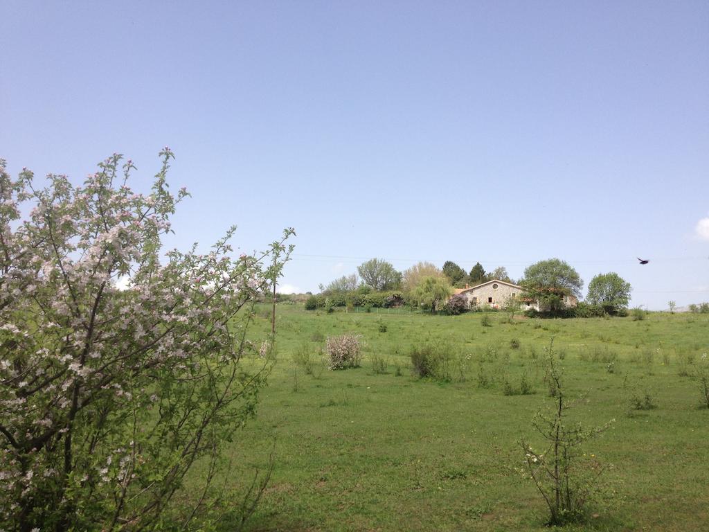 Les Gites D'Eliane Laragne Exterior foto