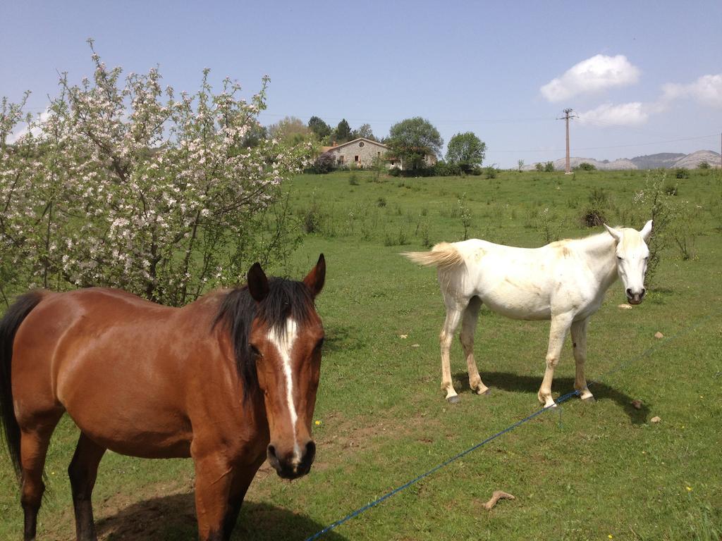 Les Gites D'Eliane Laragne Exterior foto